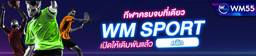 wm55 sports betting promo