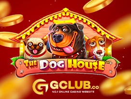 dog house slot